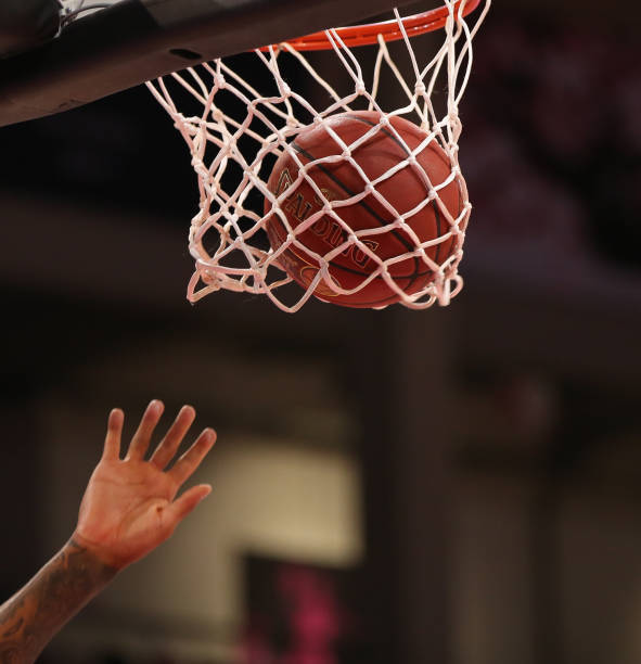 完全陌生的 完全陌生的