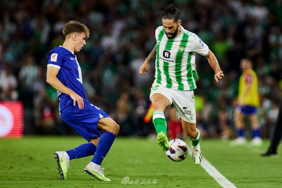 了晋级的门 了晋级的门